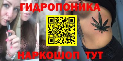 крисы Бийск