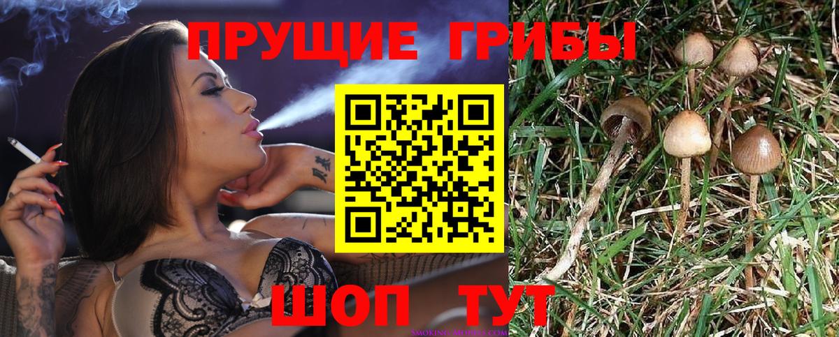 Ирбит  Галлюциногенные грибы мухоморы  Вход с VPN 